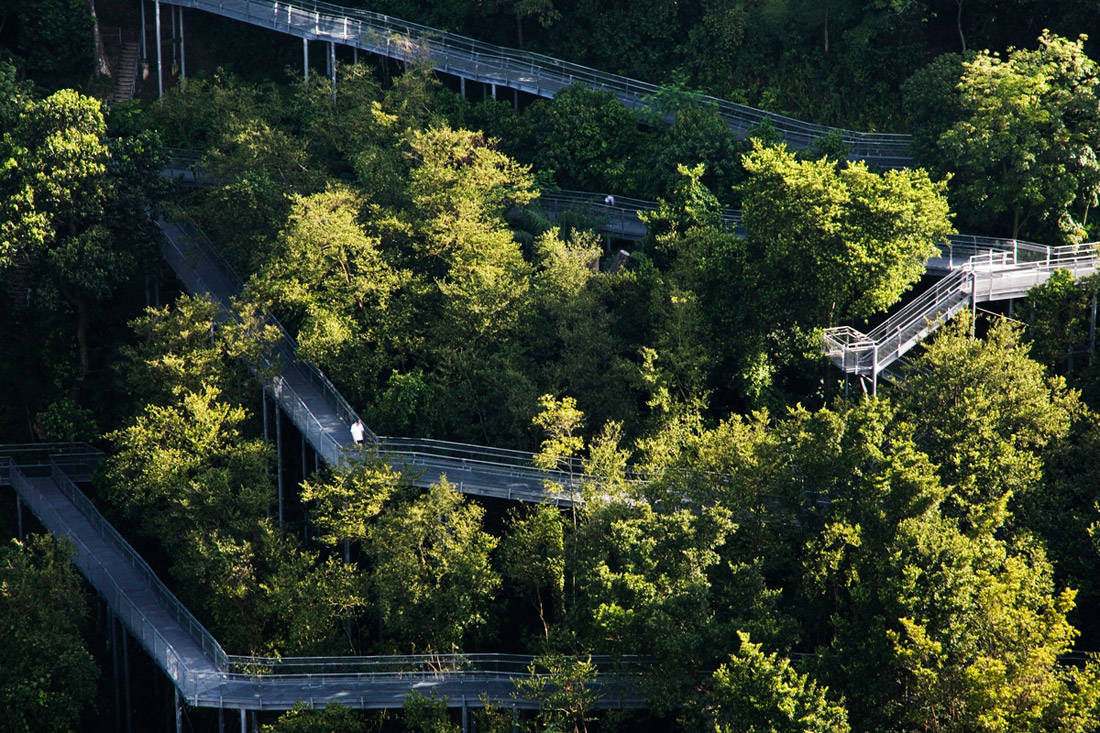新加坡亚历山大拱桥与森林步道丨LOOK Architects Pte Ltd-8