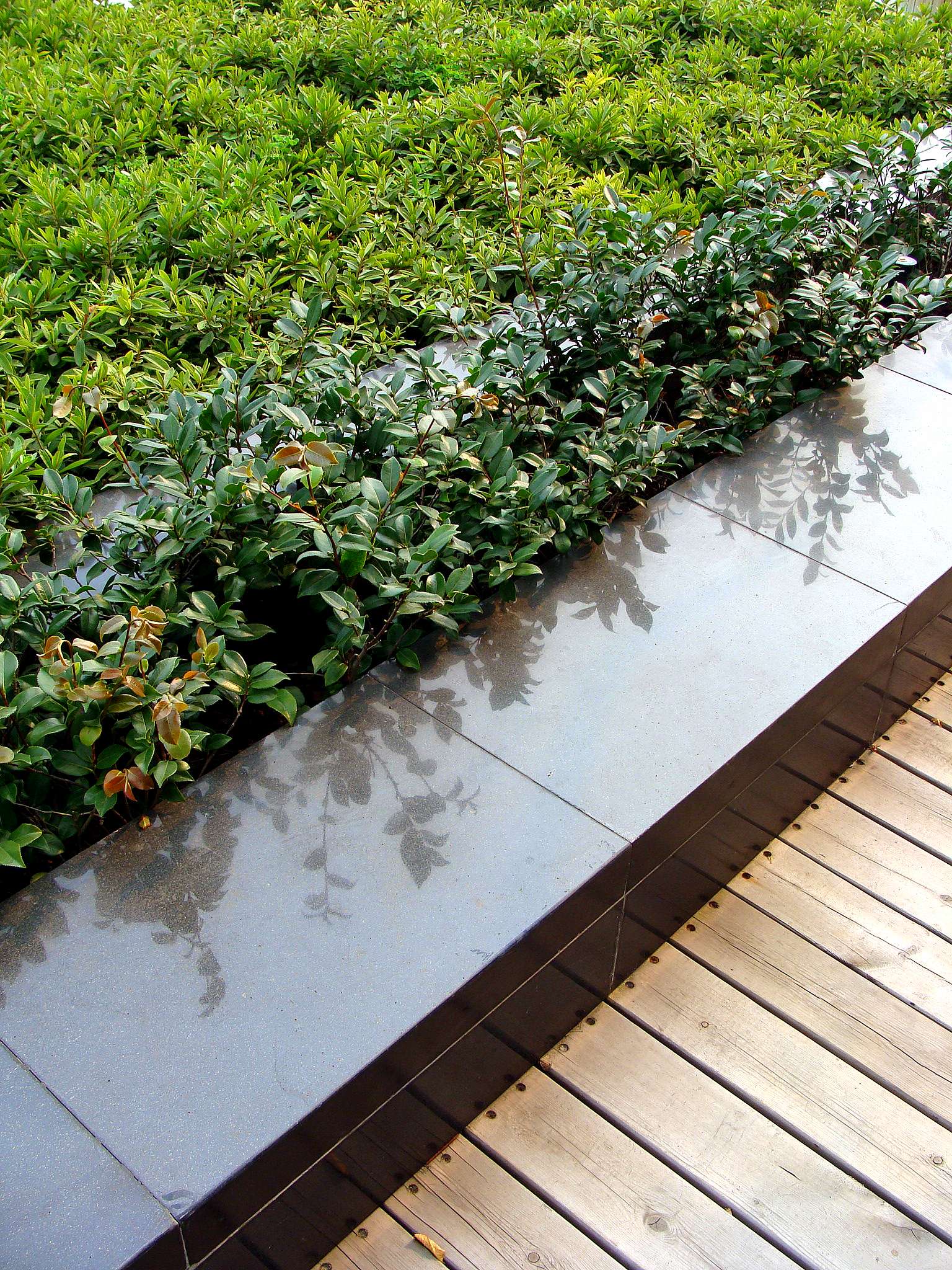 金螳螂  太湖干部疗养院-4