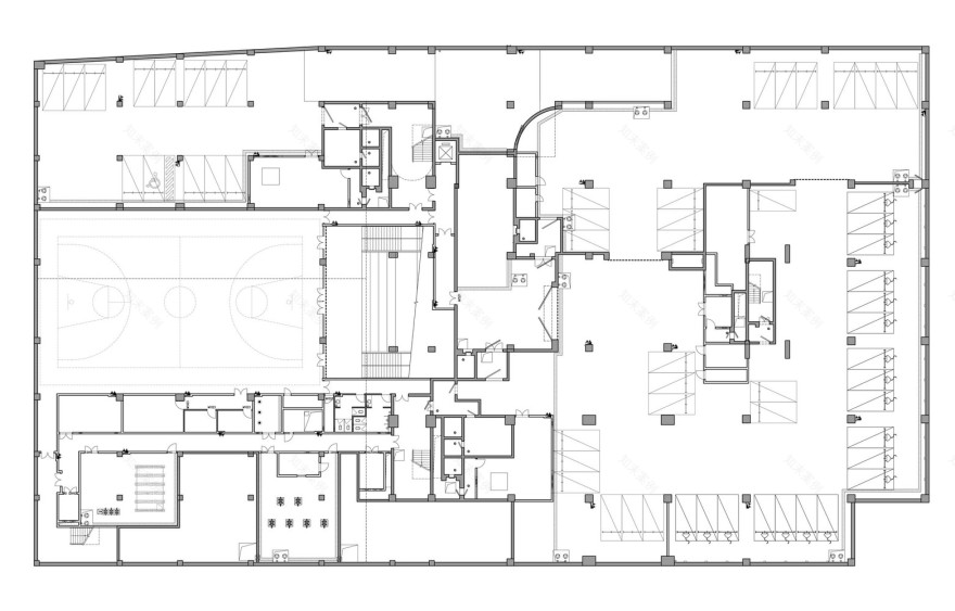 深圳福田区绿意盎然的外语小学北校区-32