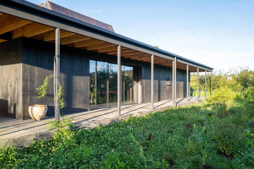 墨西哥雨水收集之家丨Robert Hutchison Architecture + JSa-65