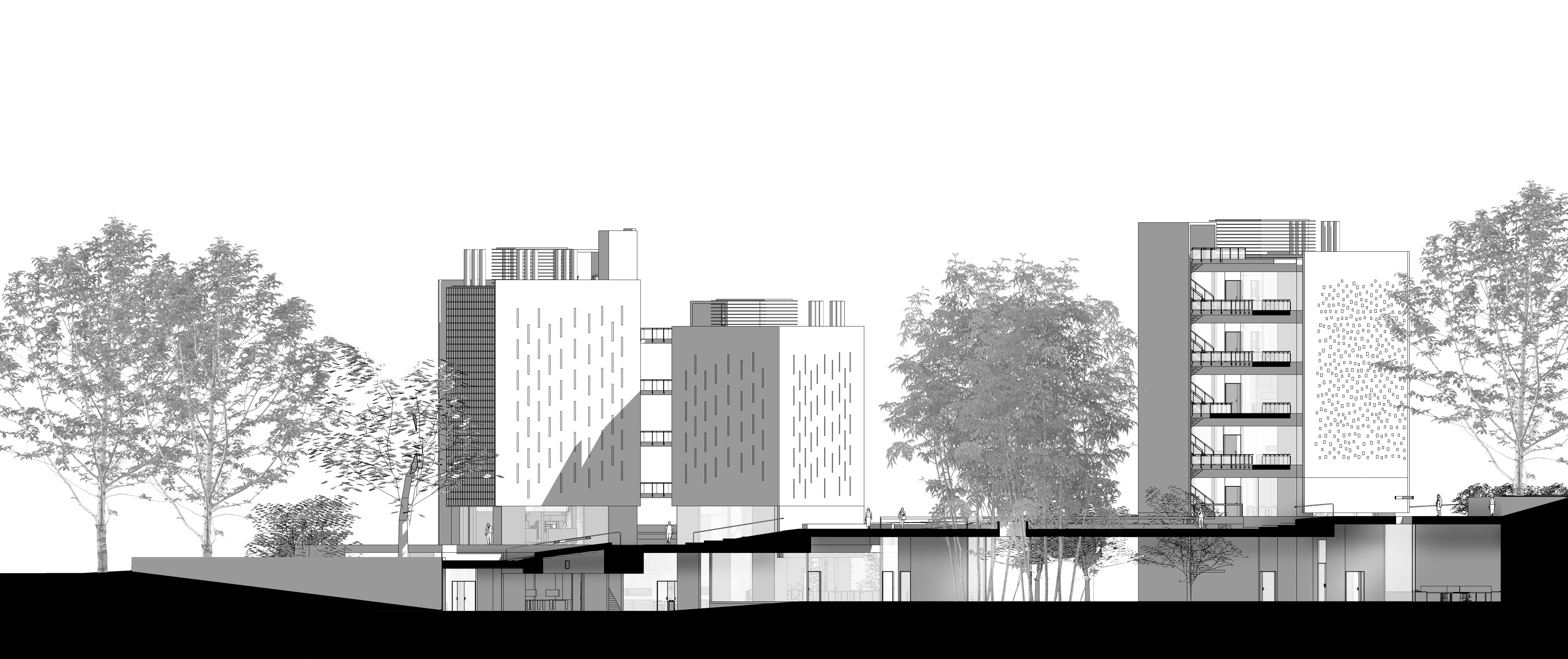 Concurso edificios facultad de ciencias PUJ Cali-20