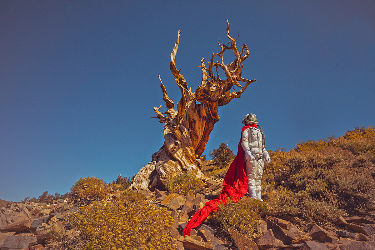 孤独的宇航员-11