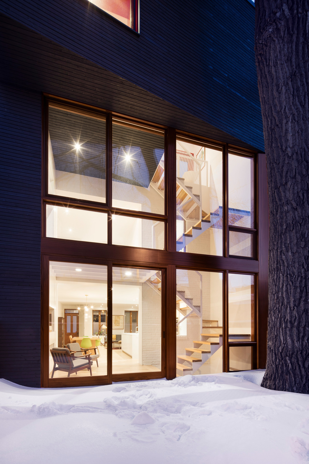 百年老屋与古树的共生对话-5