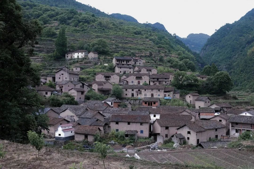  尌林建筑设计事务所丨武义梁家山·清啸山居·民宿建筑设计 丨中国浙江-15