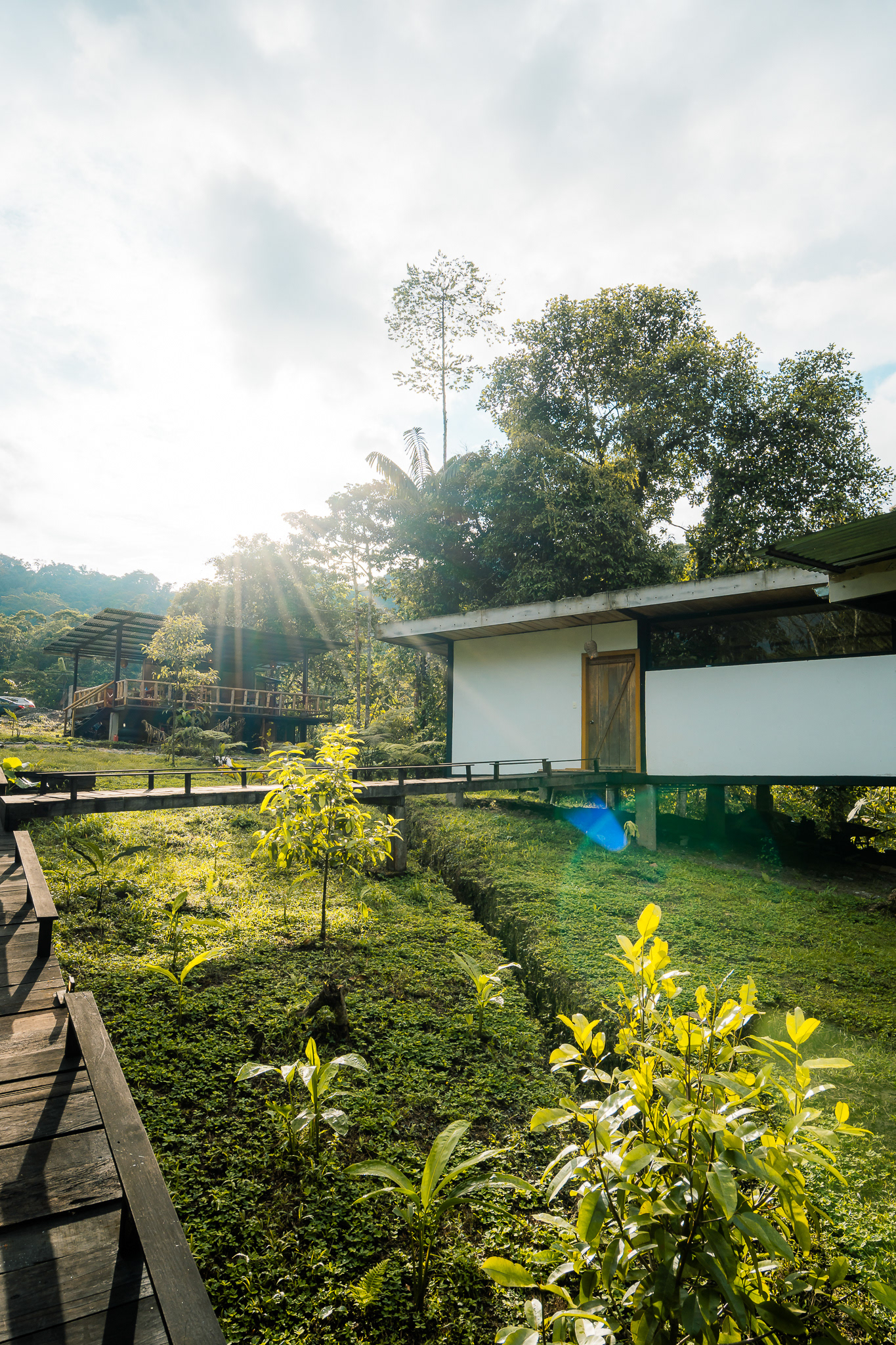Cedro Amazon Lodge-8