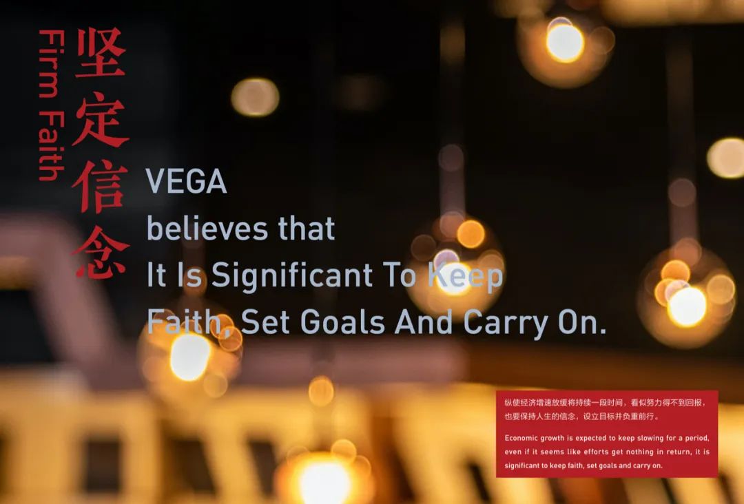 VEGA Brand Story 2020-14