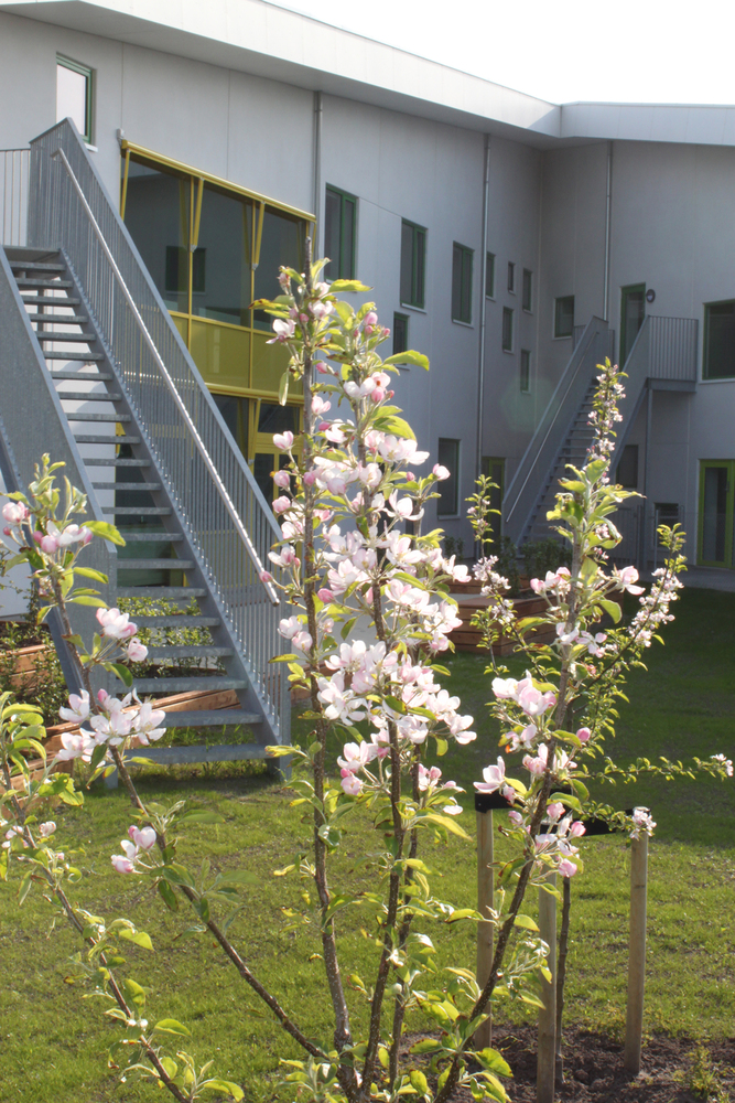 Tjørring School  FRIIS - MOLTKE Architects-49