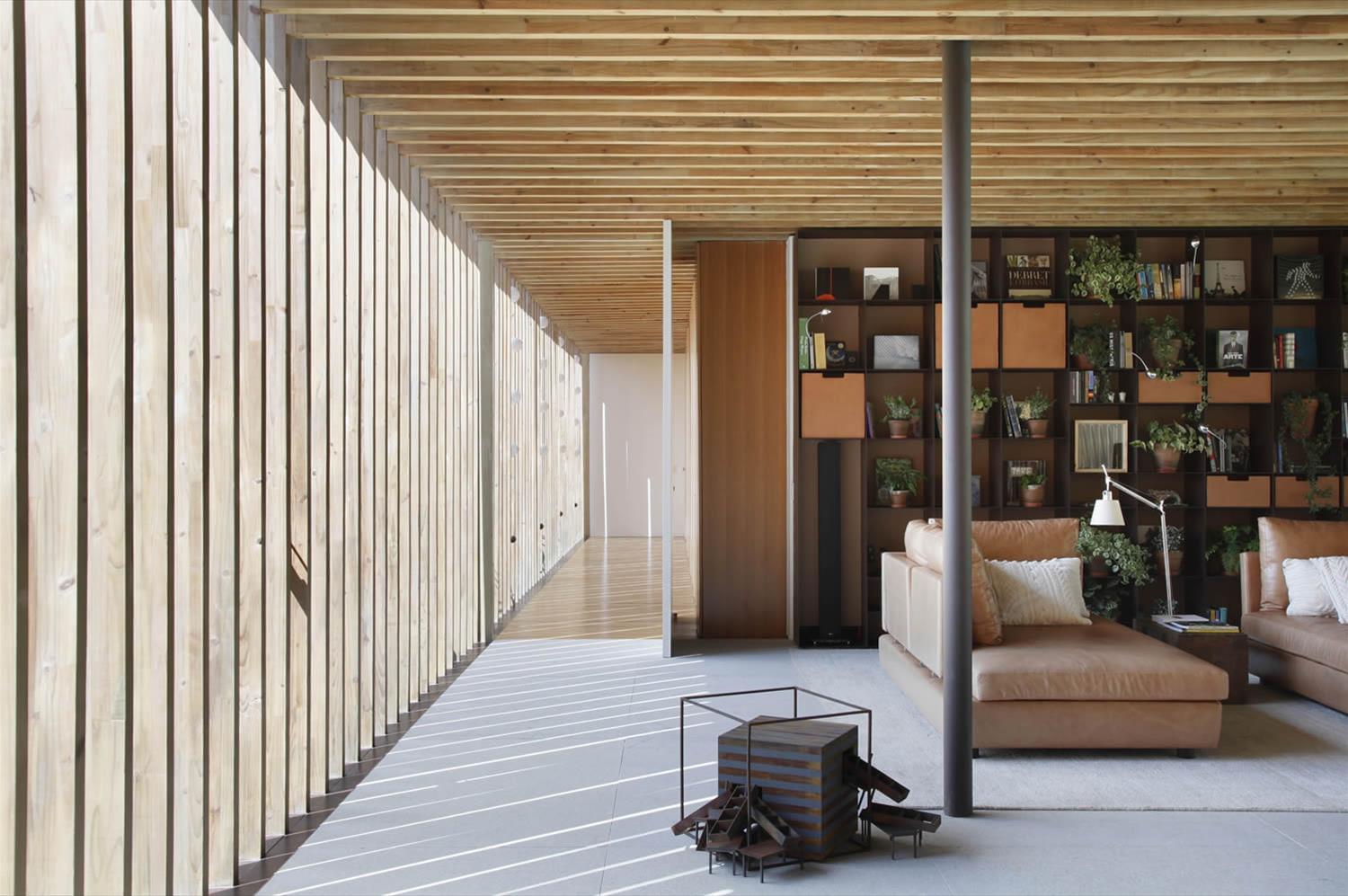 巴西 Petropolis 山间别墅-17