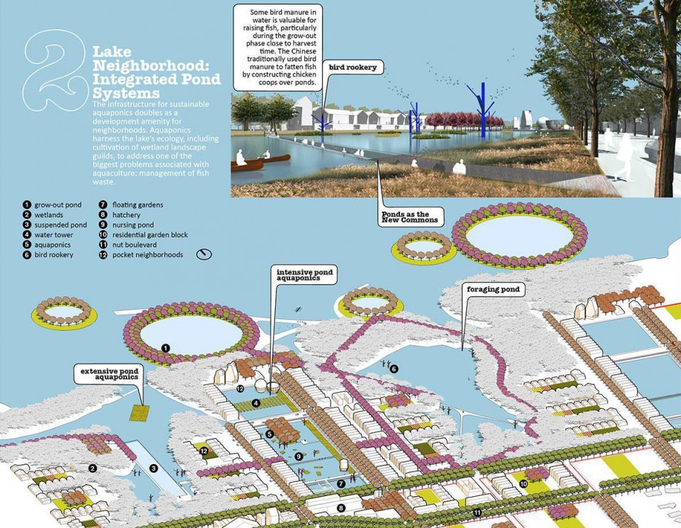 " Food City " | 城市食品生产模型的规划与设计-7