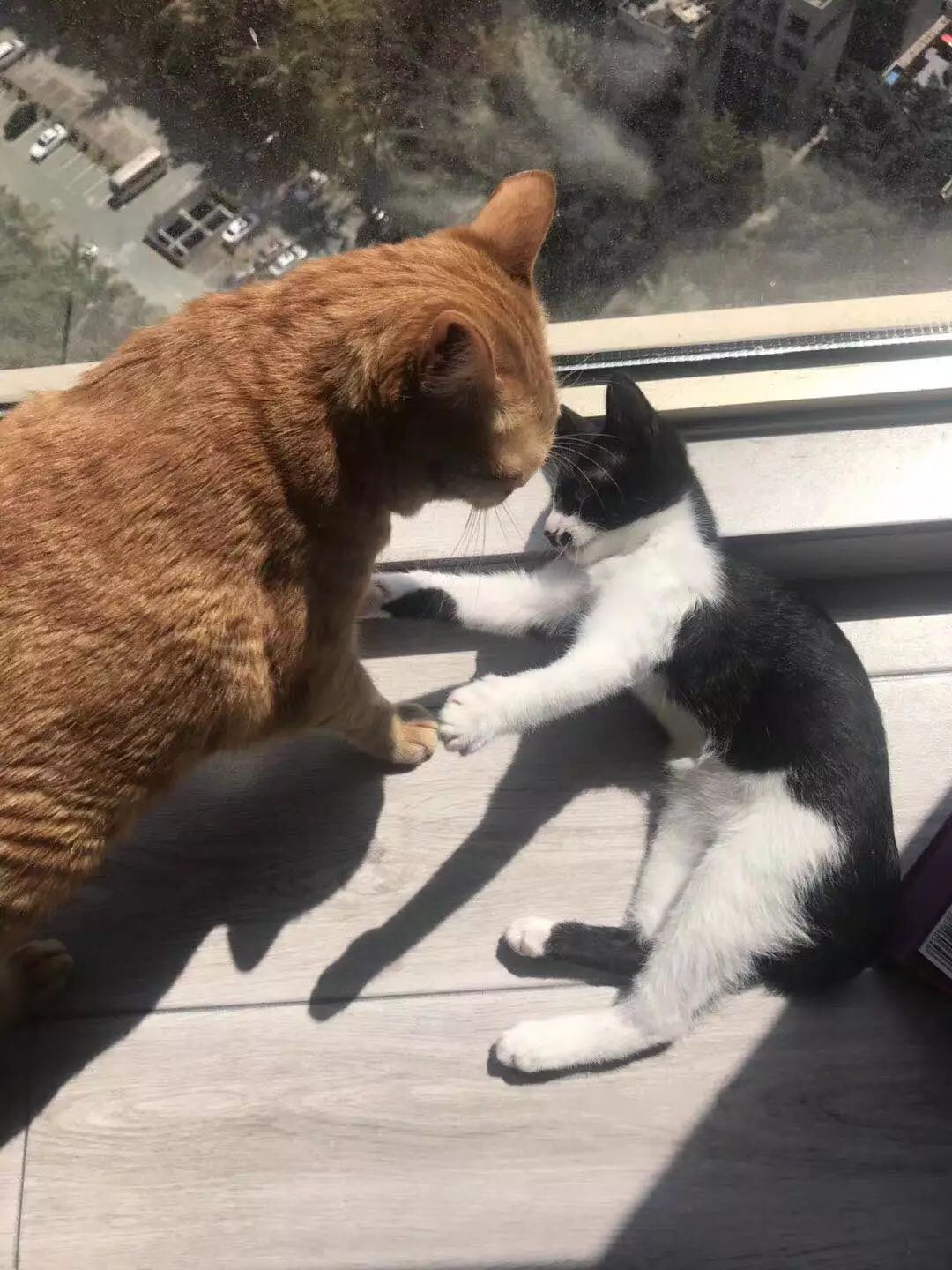 小宅故事丨彭芳：二人世界，家里的每一寸设计都充满着爱情的气息！-32