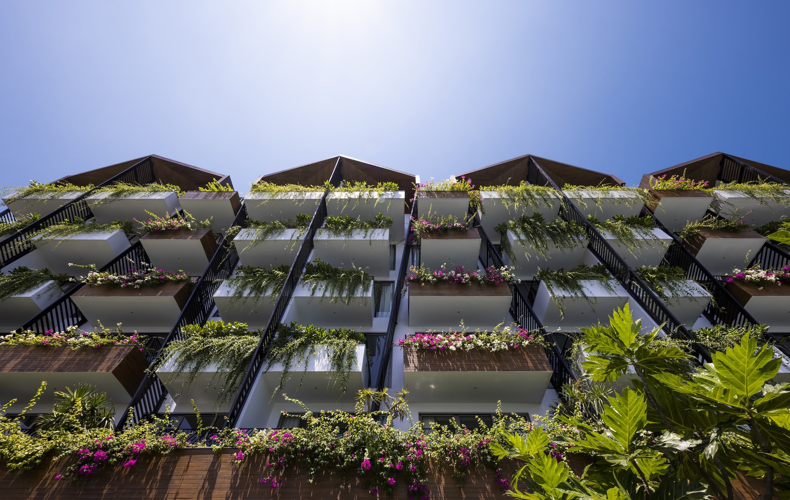 越南贝勒里夫度假酒店丨AVA architects Viet Nam-34