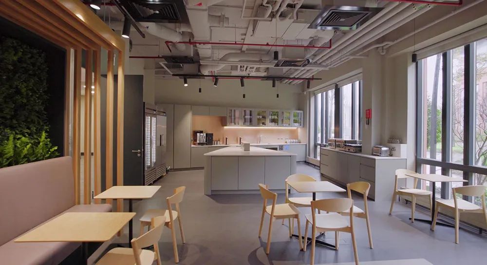 爱尔兰制药公司办公空间-24