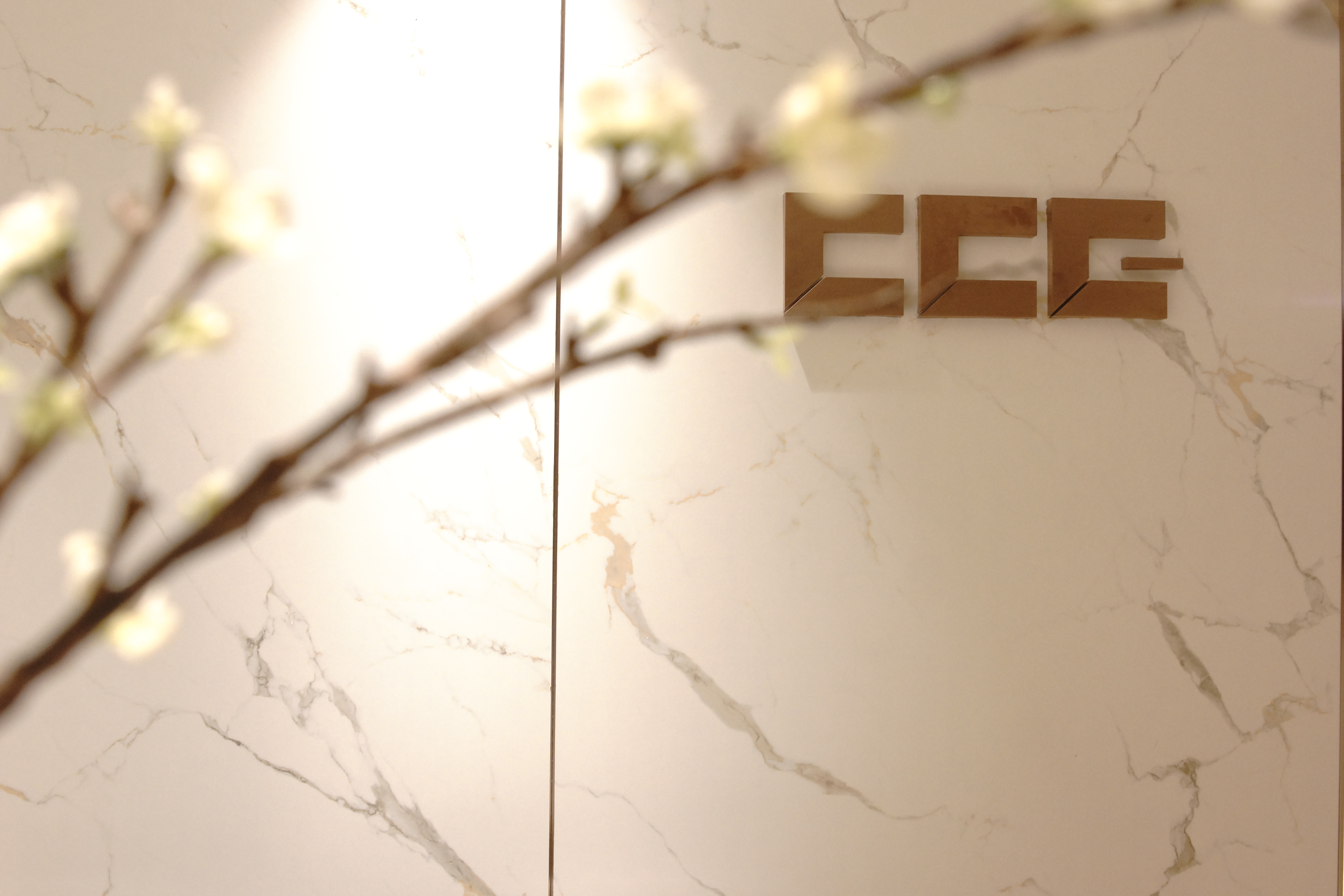 纯粹设计教育总公司丨中国广州-0