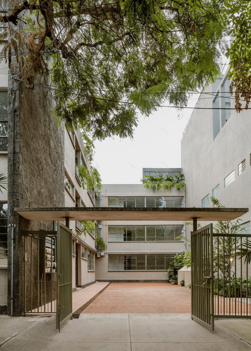 佩滕,兰斯502号丨墨西哥墨西哥城-10