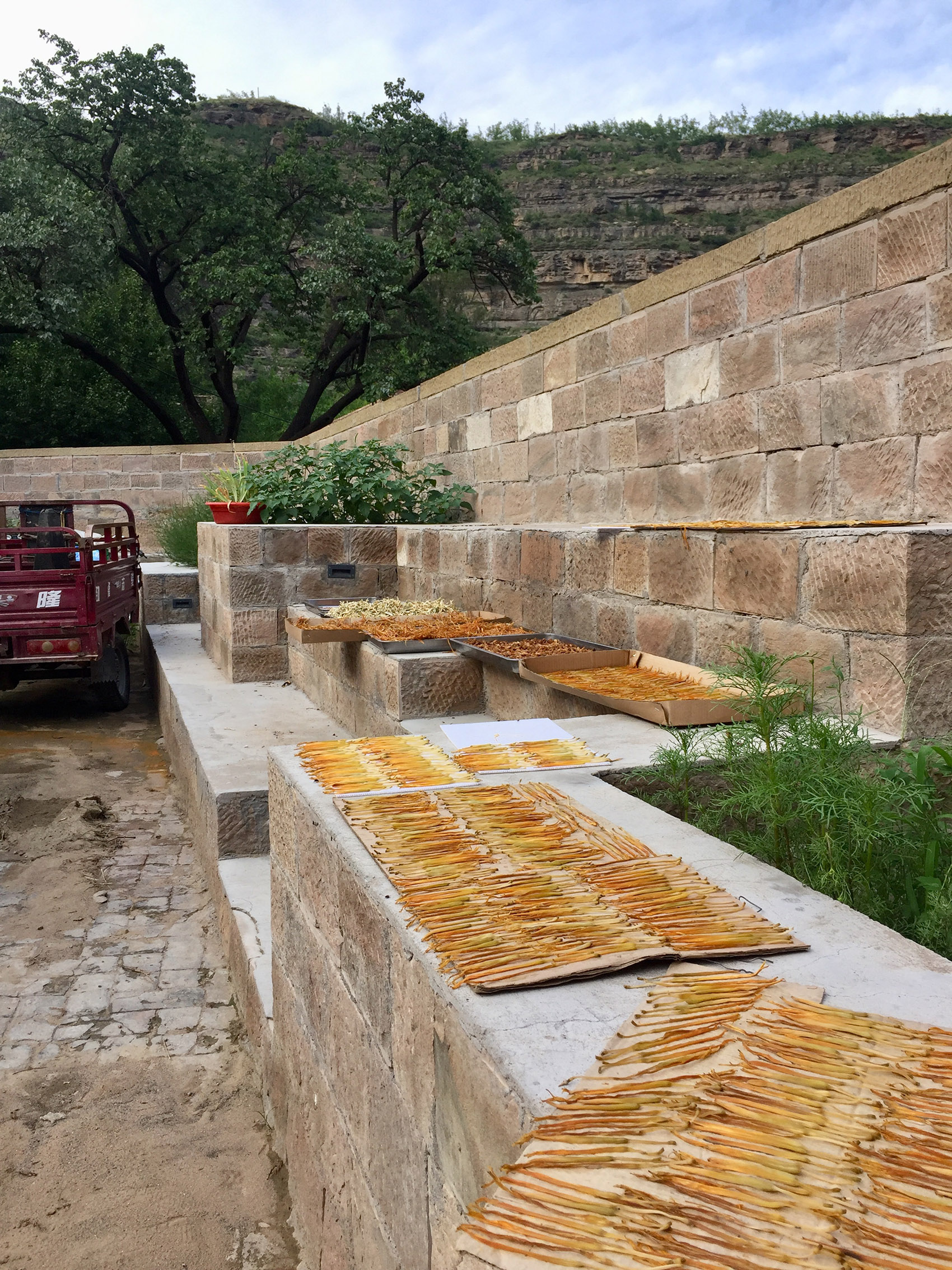 枣园小学改造,陕西 / 原本营造-53