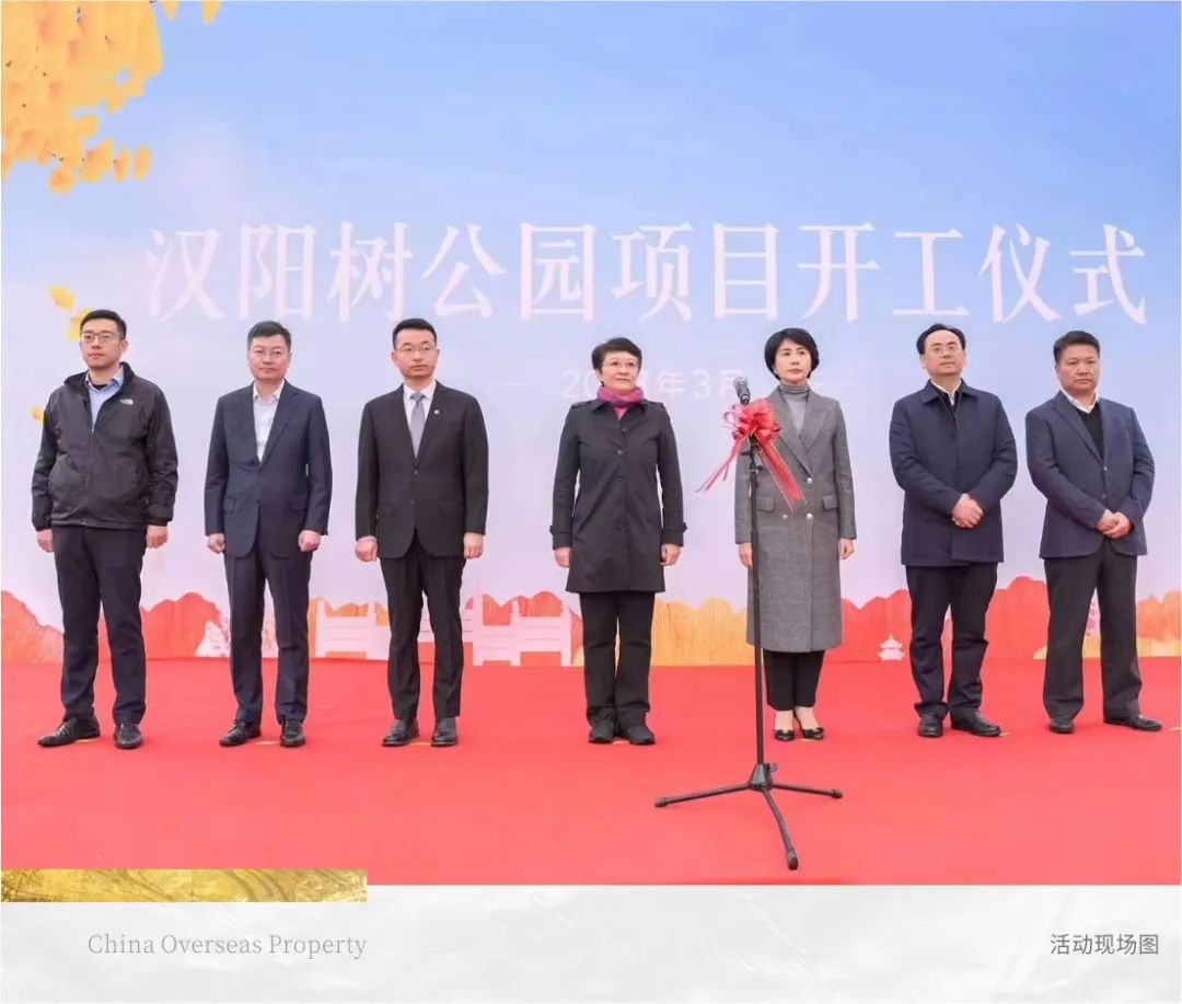 为540岁汉阳树安“新家”，中海守护文化“活化石”-11