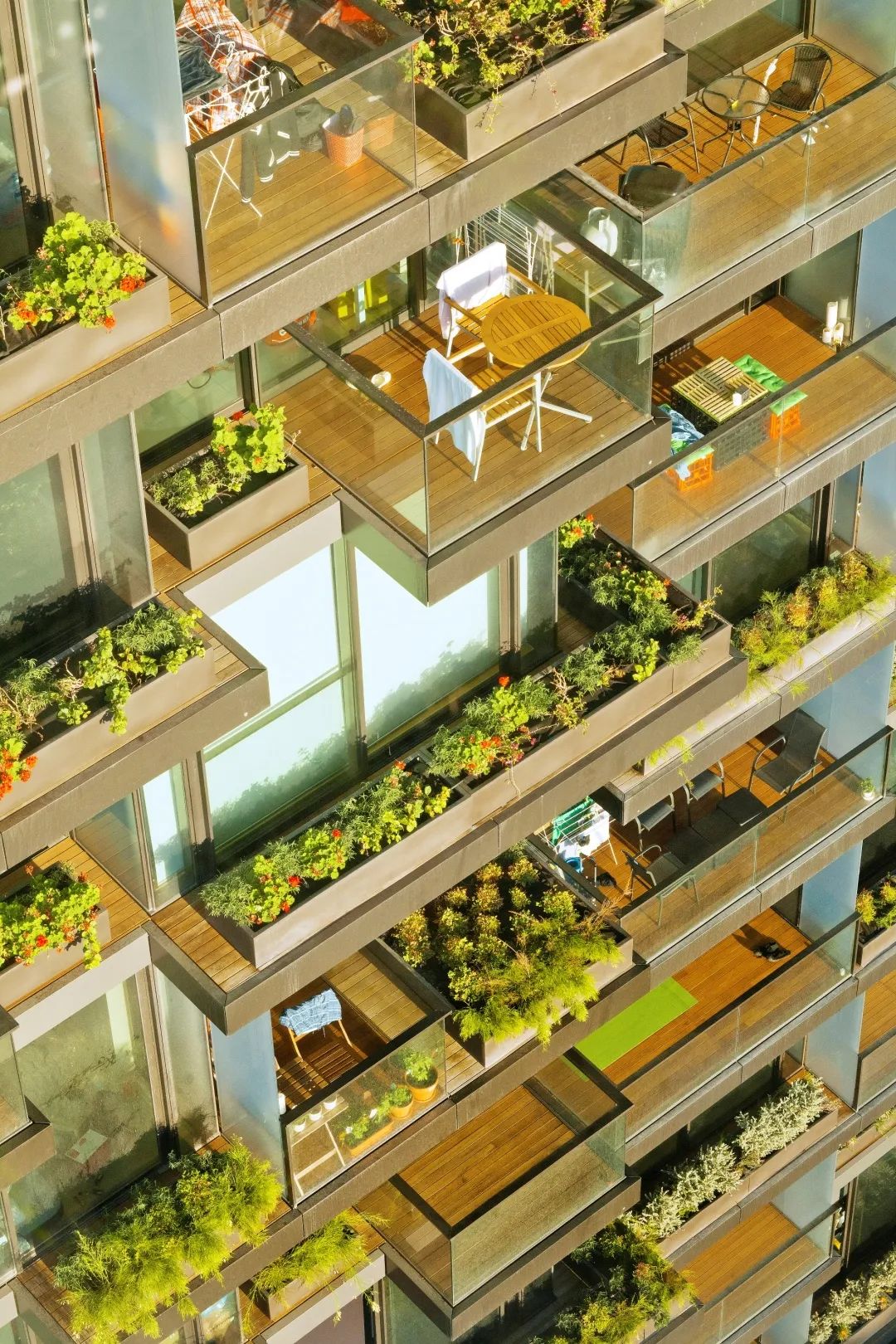 悉尼中央公园一号丨澳大利亚悉尼-31