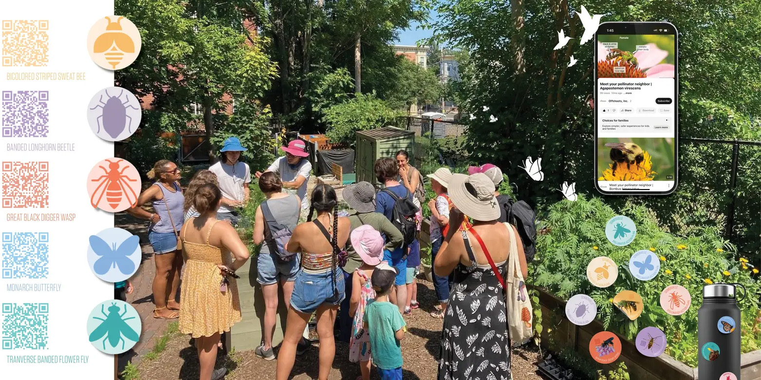 萨默维尔授粉昆虫行动计划丨美国丨Offshoots,Inc.-43