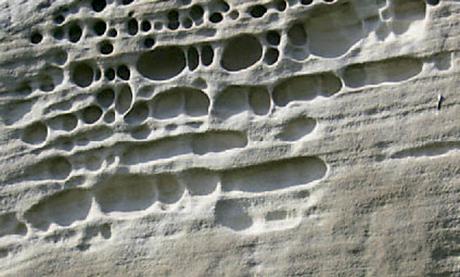 边城博物馆 | 自然与城市的边界交融-12