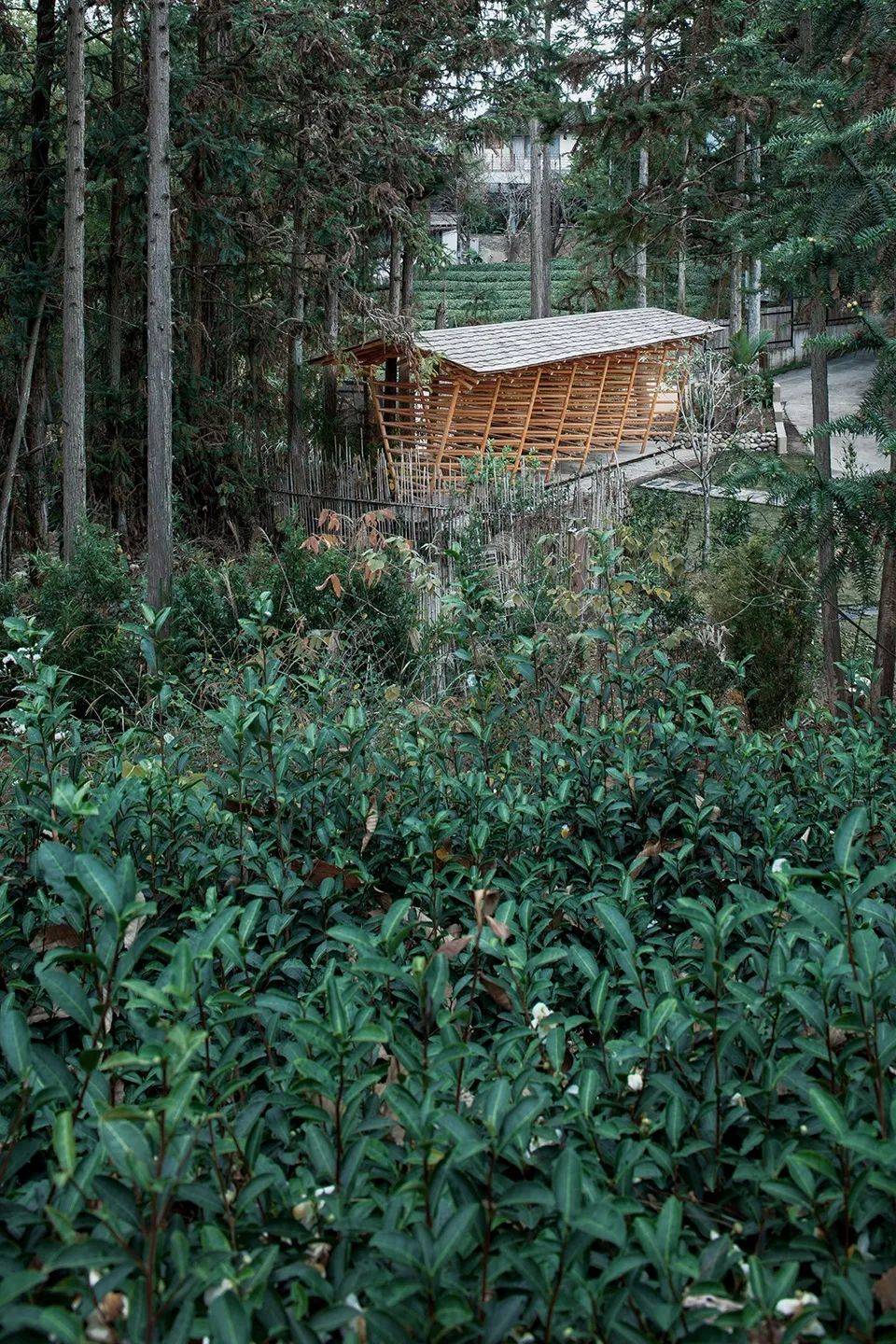 和合茶亭丨中国福建丨篆山营造-34