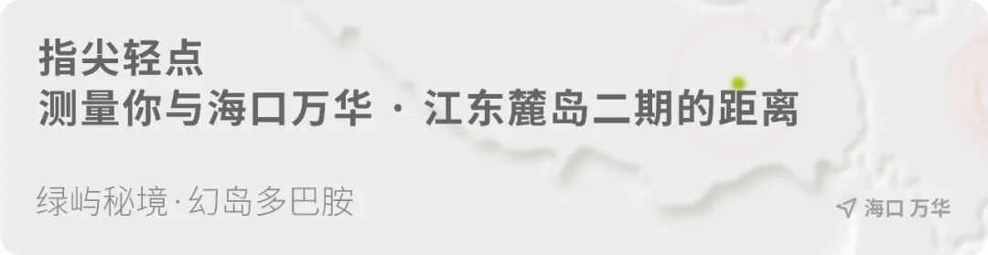 解锁雨林中的奇幻岛居｜海口万华·江东麓岛二期-2