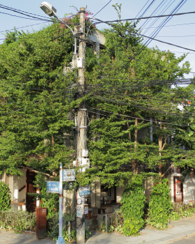 邦特咖啡馆丨越南丨Yen Architecture