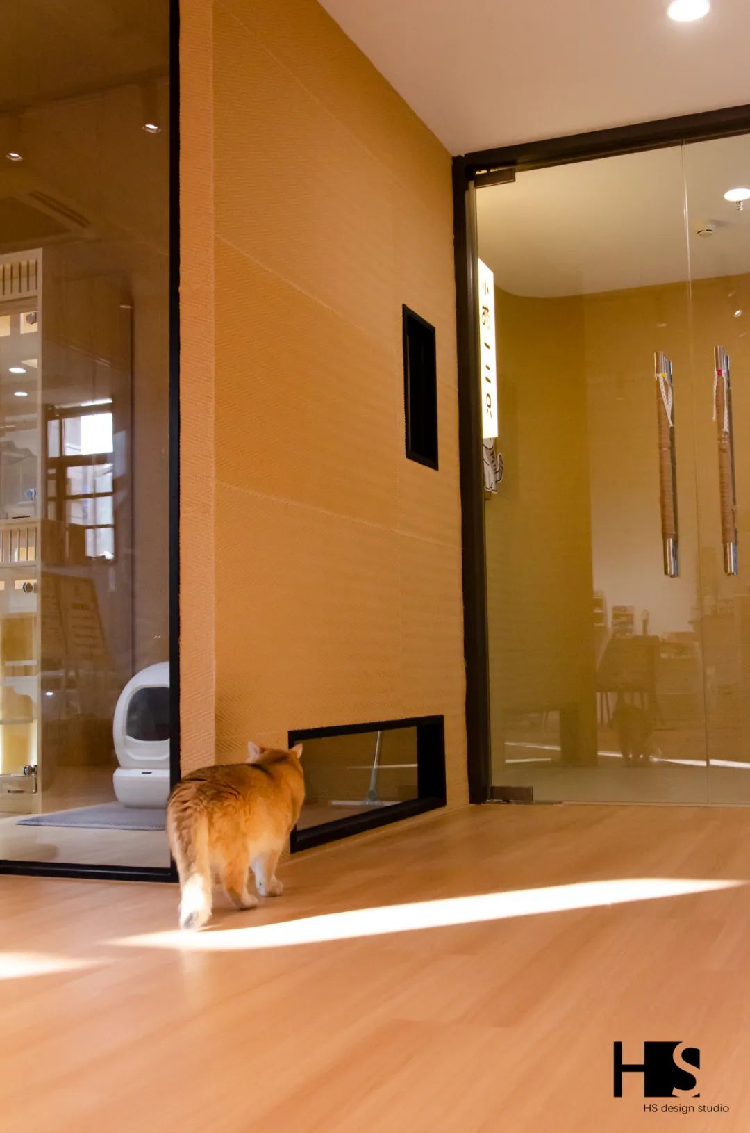 HS 新作 小猫一二只丨中国杭州丨绘狩-34