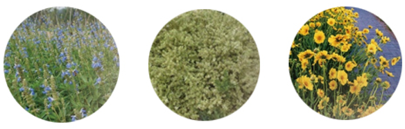 金地中心丨中国盐城丨LAURENT罗朗景观-61