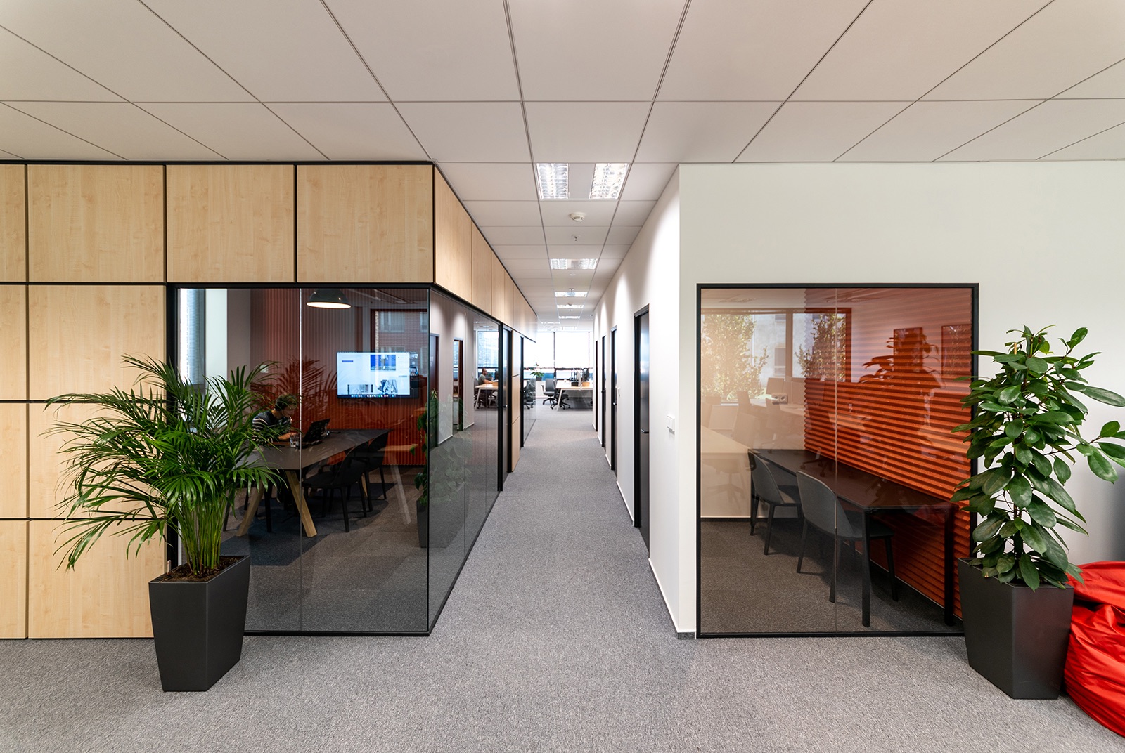 A Tour of STRV’s New Office in Brno - Officelovin'-2