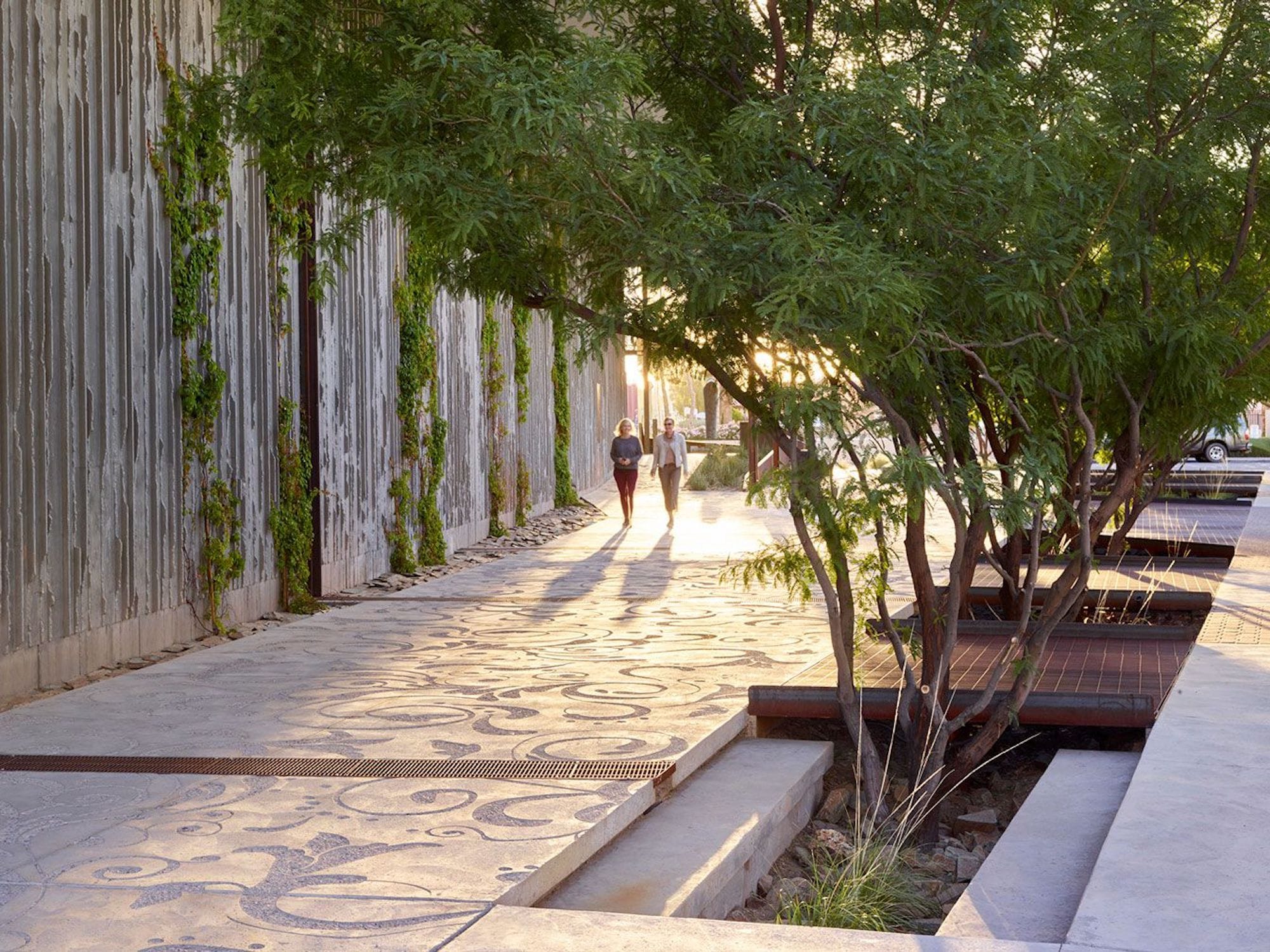 亚利桑那州斯科茨代尔西方博物馆 · 沙漠景观中的绿色创新-8