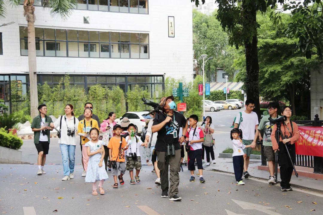 茏腾·探秘自然·鸟类涂鸦之旅-4