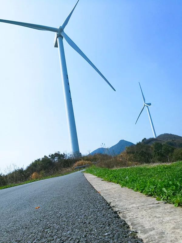 海华院春日踏青活动回顾 | 和谐邻里，美景尽收眼底-29