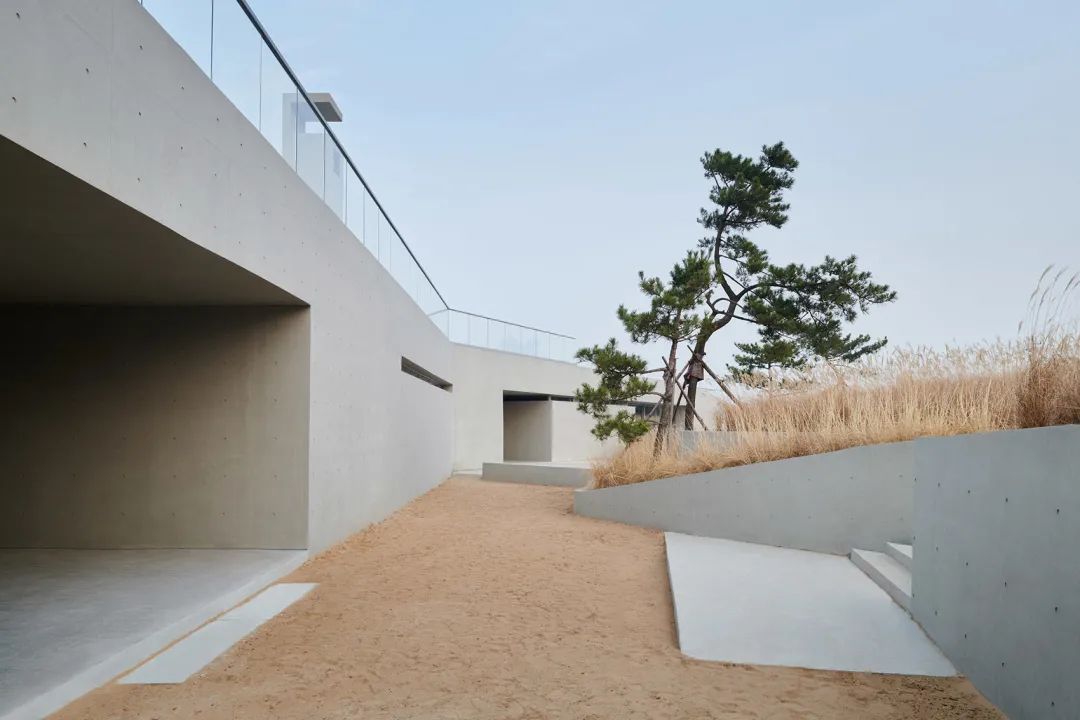 海边折廊丨中国山东丨迹·建筑事务所（TAO）-40