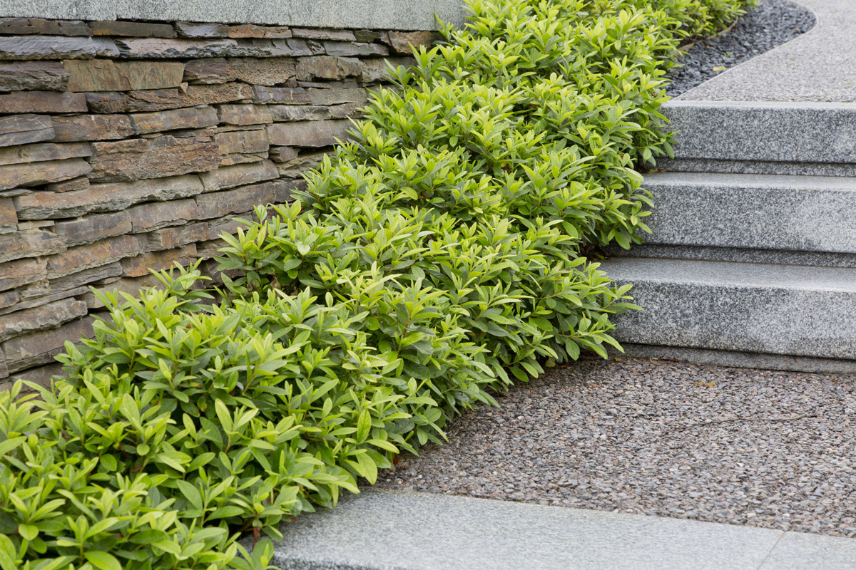 访谈专辑第二十一期 & 张唐景观-82