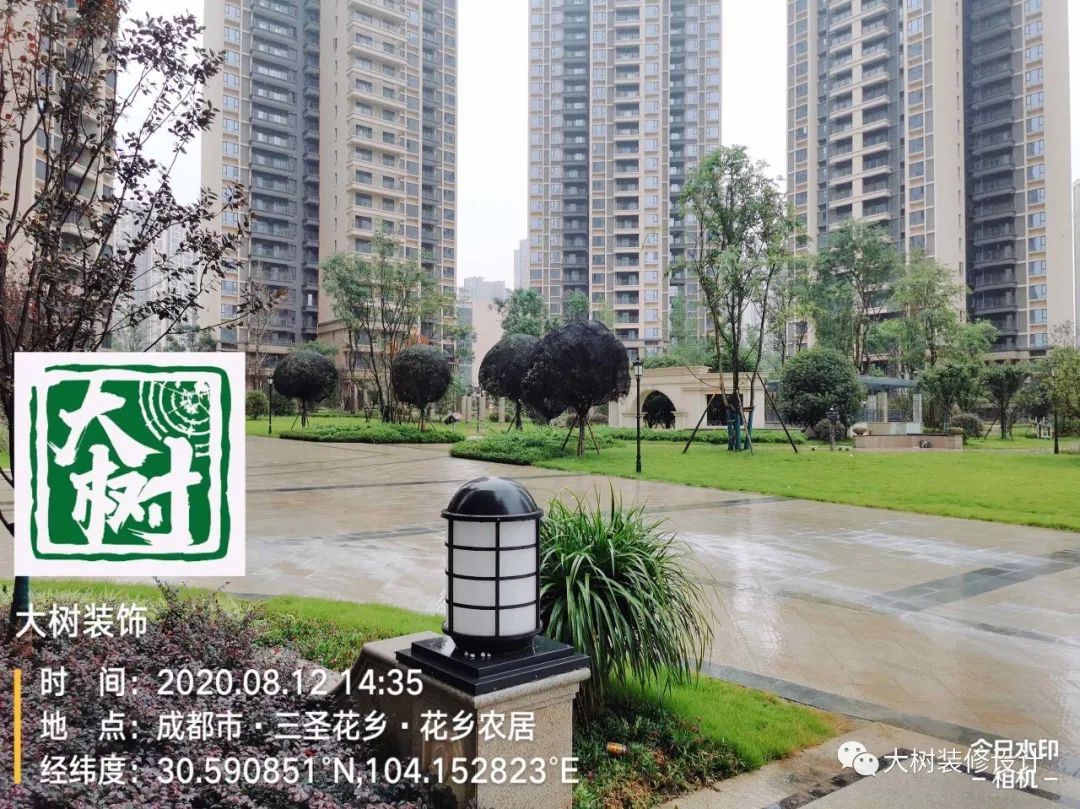 人居东城花汇小区绿化现场探秘-10