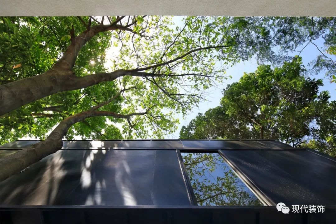 东莞橙果传媒集装箱办公室 | 融入自然的创意空间-41