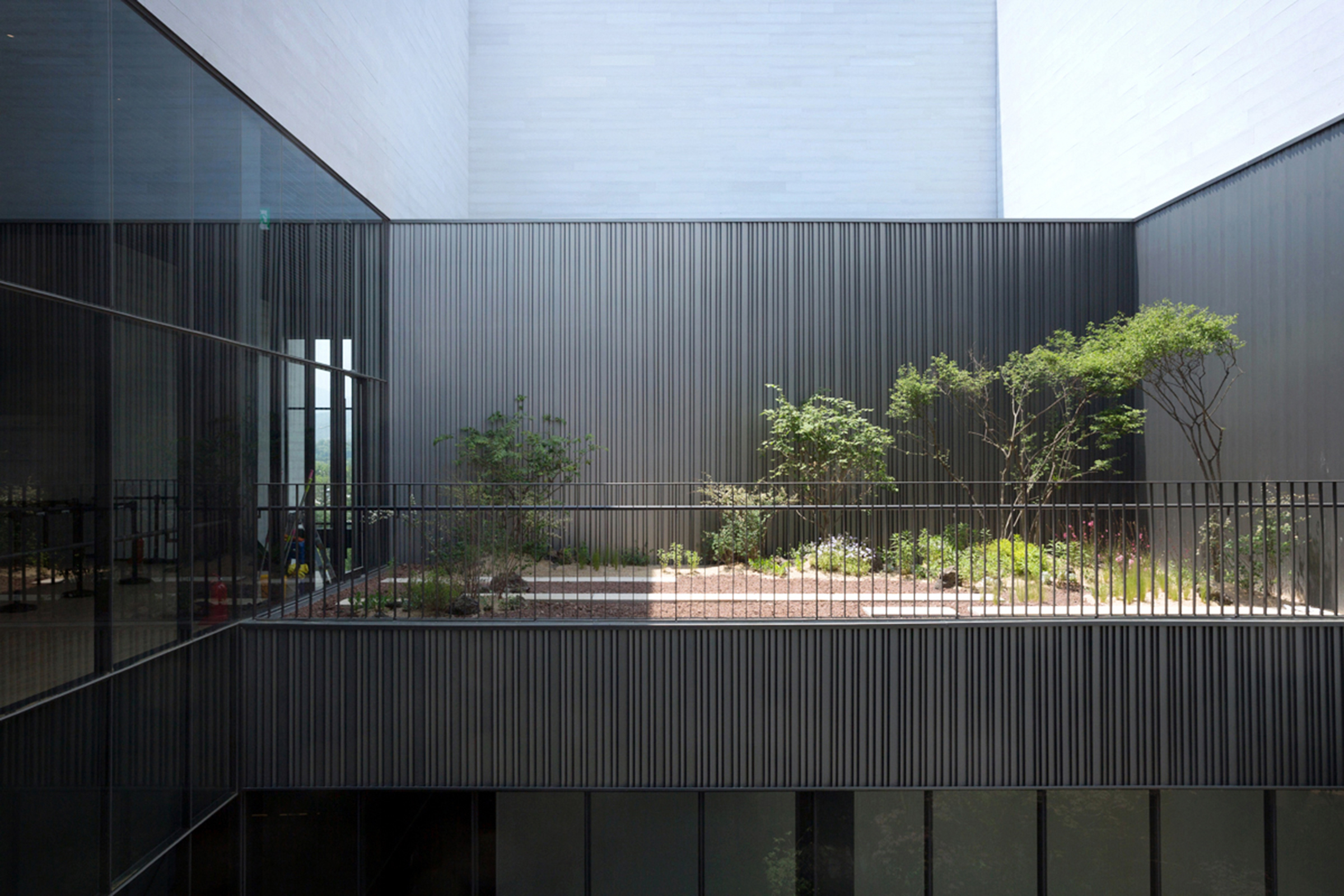 城市公寓中的“小森林”-15