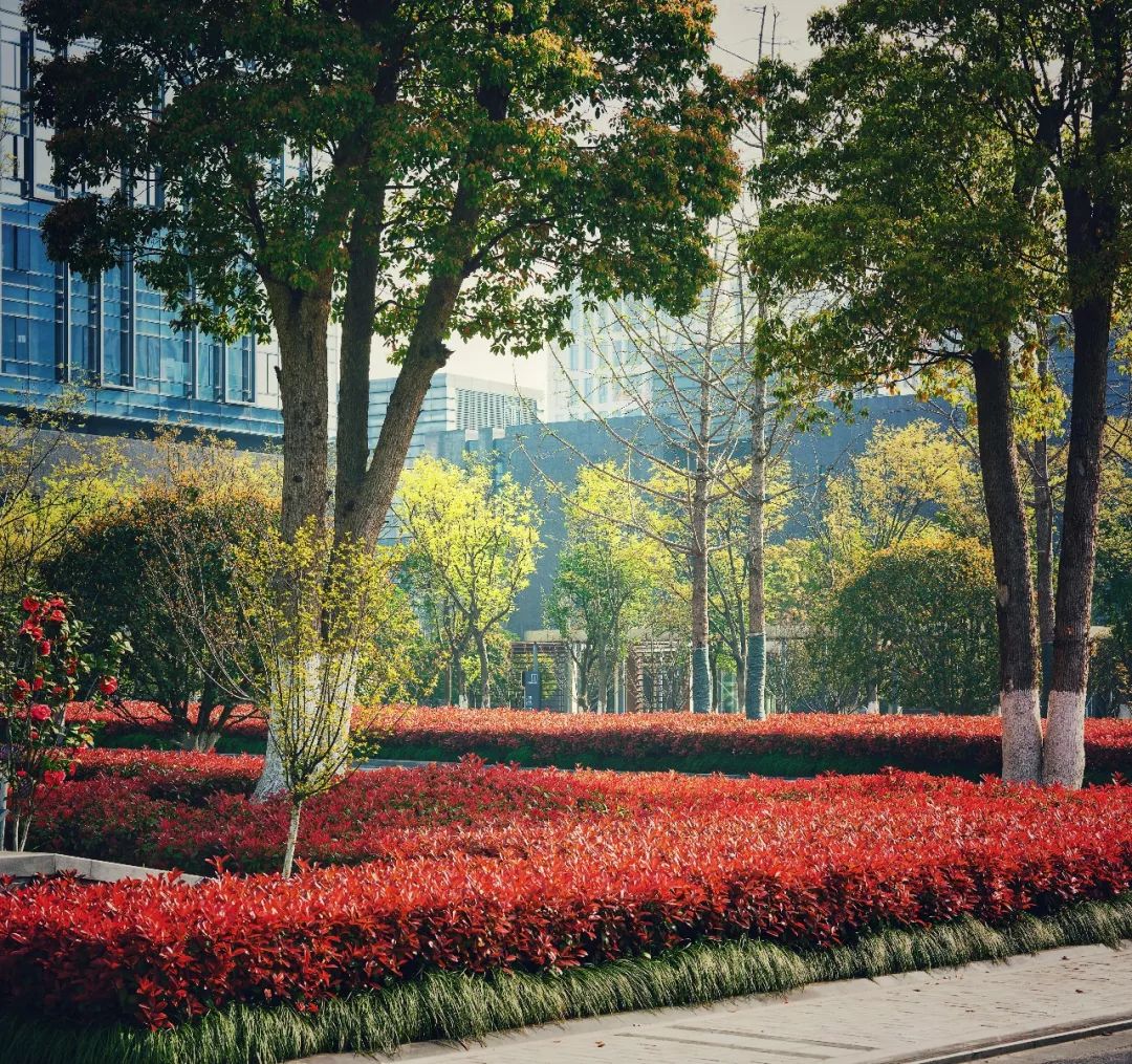 杭州 H3C 总部景观设计 | 生态至简大道、创意人性空间-83