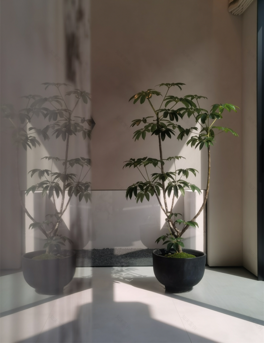 日落之后丨中国宁波丨柒合设计-20