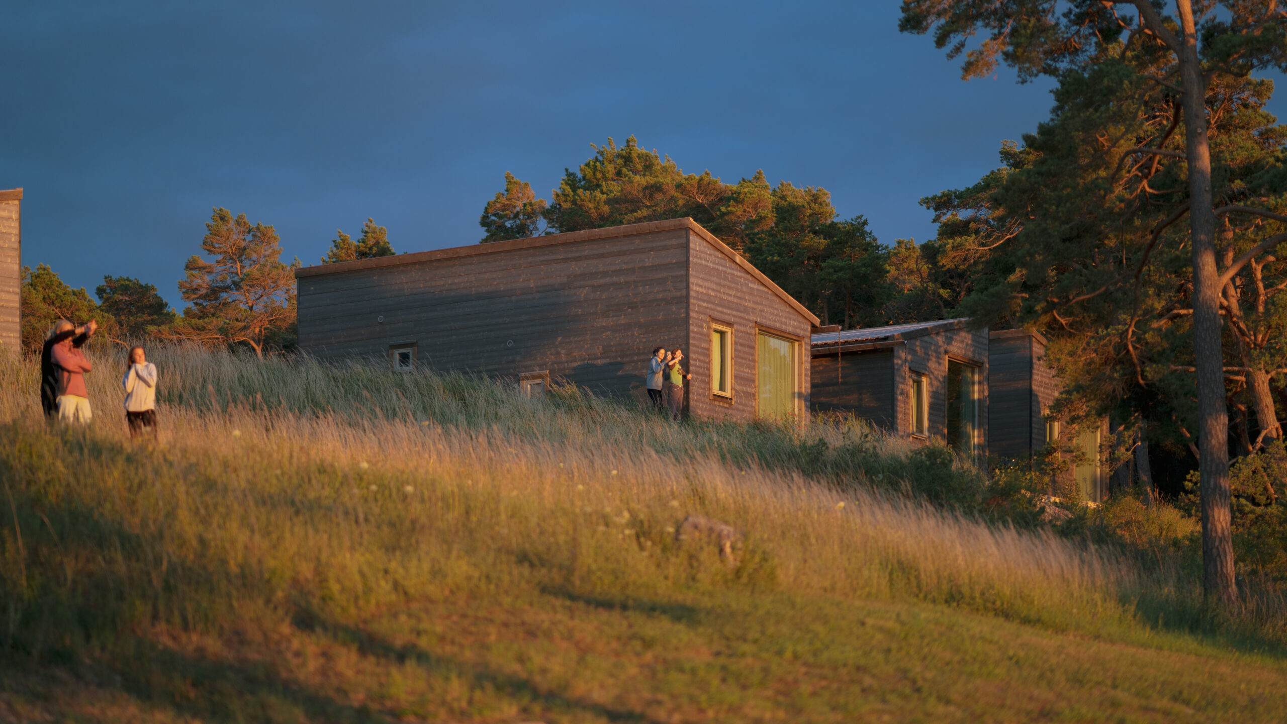 丨瑞典哥得兰丨Tengbom-2