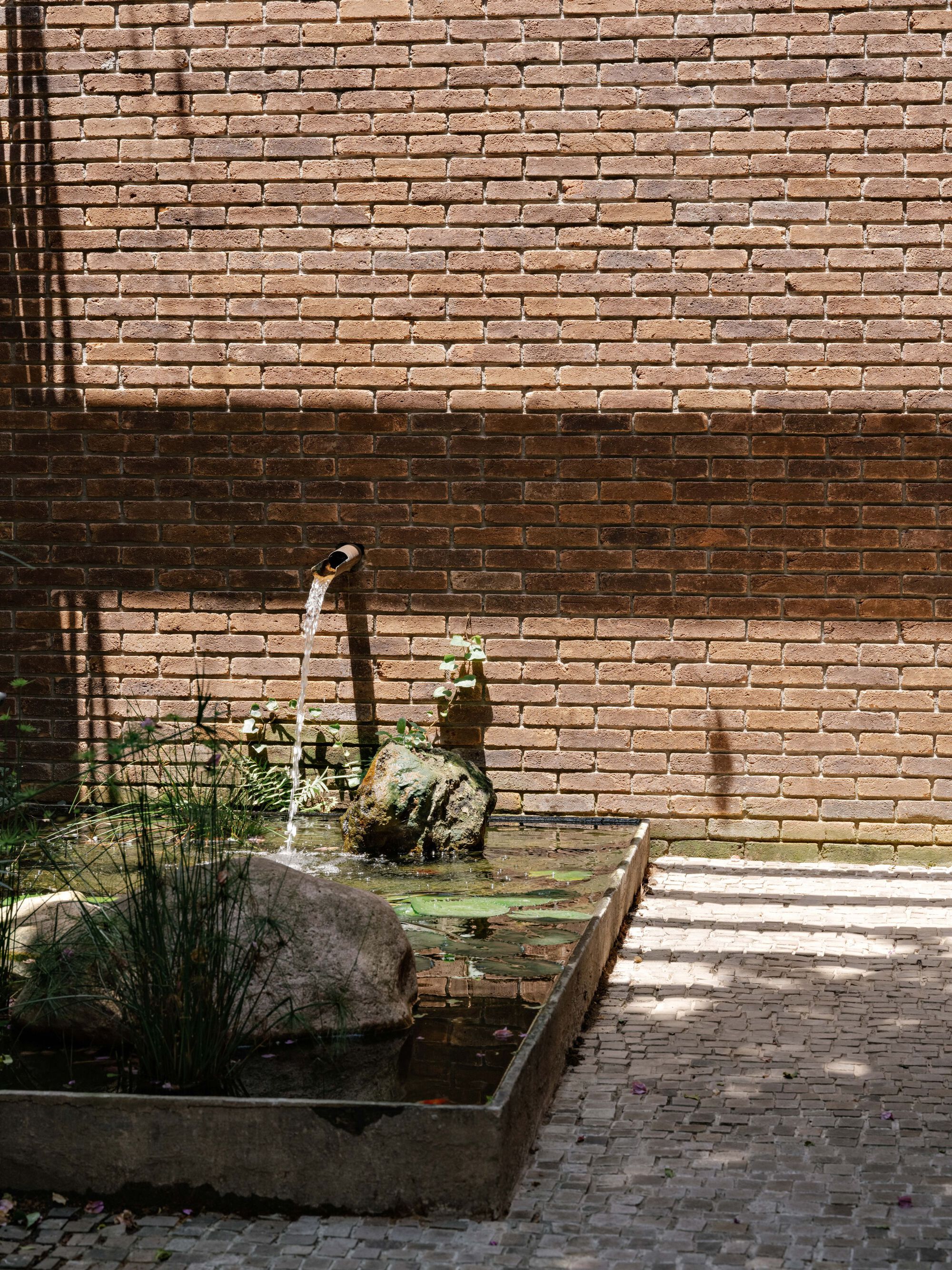 丨巴西圣保罗丨Felipe Hess Arquitetos-39