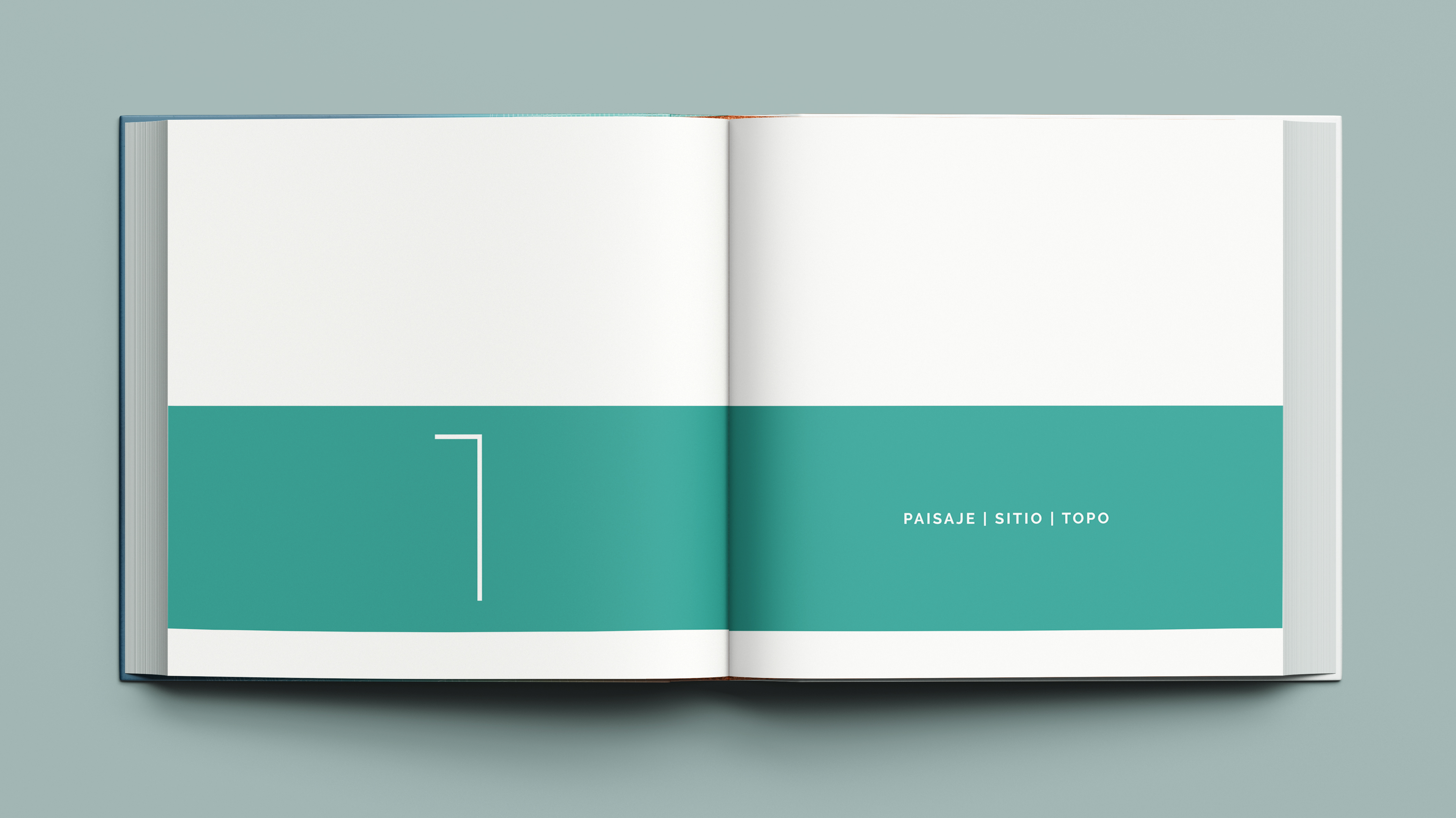 5 décadas transformando Mar del Plata-20