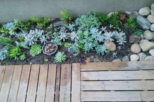 一家3口逃离都市，包下30亩地爆改老房子，有人开车2小时只为在这睡一觉-62