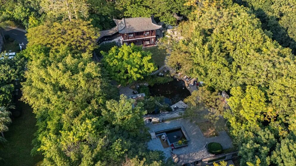 深圳园博园：用公园打开城市生活新方式-118