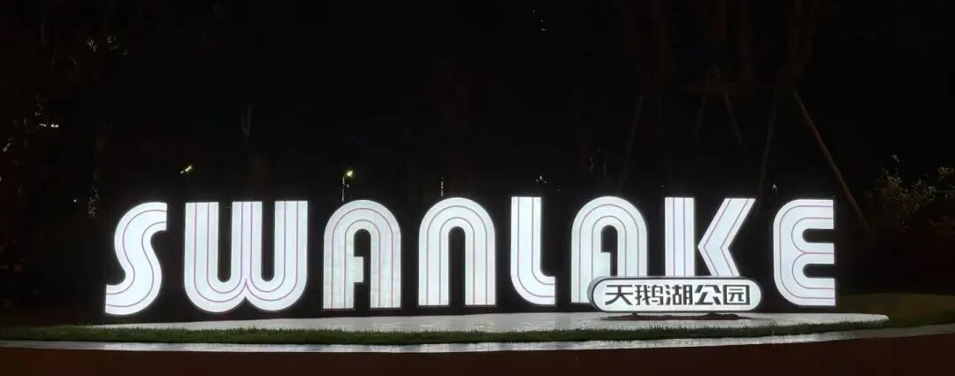 唤醒自然，天鹅重现—城市里的治愈系游园|园科作品-59