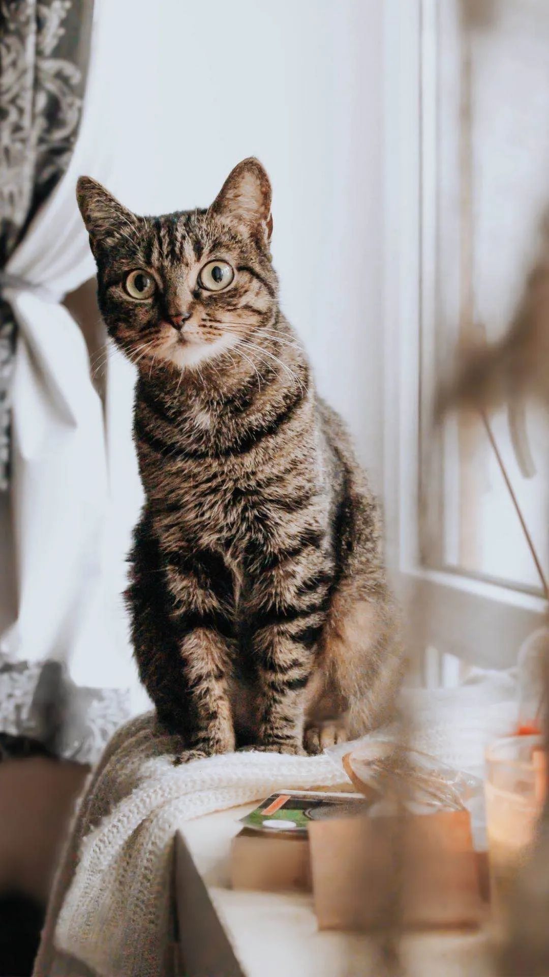 富力·湖州壹号现代轻奢风,精致空间之美-2