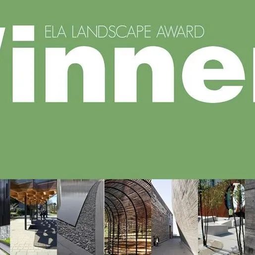 新闻|顺德高新区状元书吧斩获国际设计大奖-95