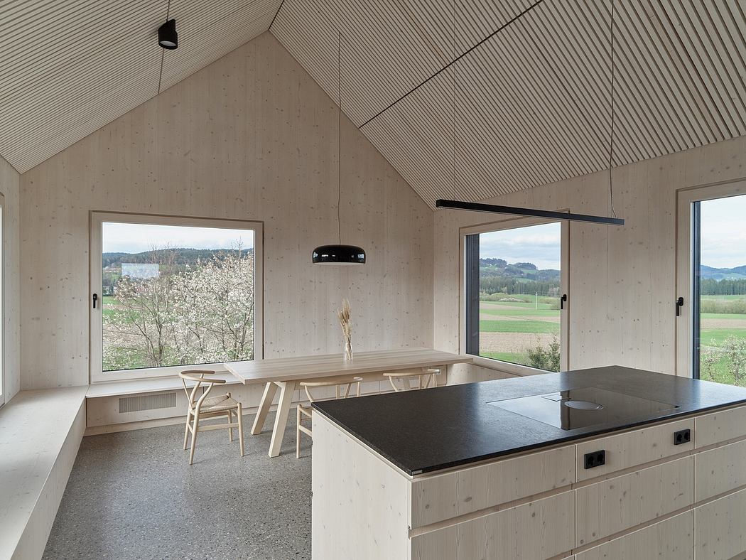 高黑屋丨奥地利丨SLP Architekten-4