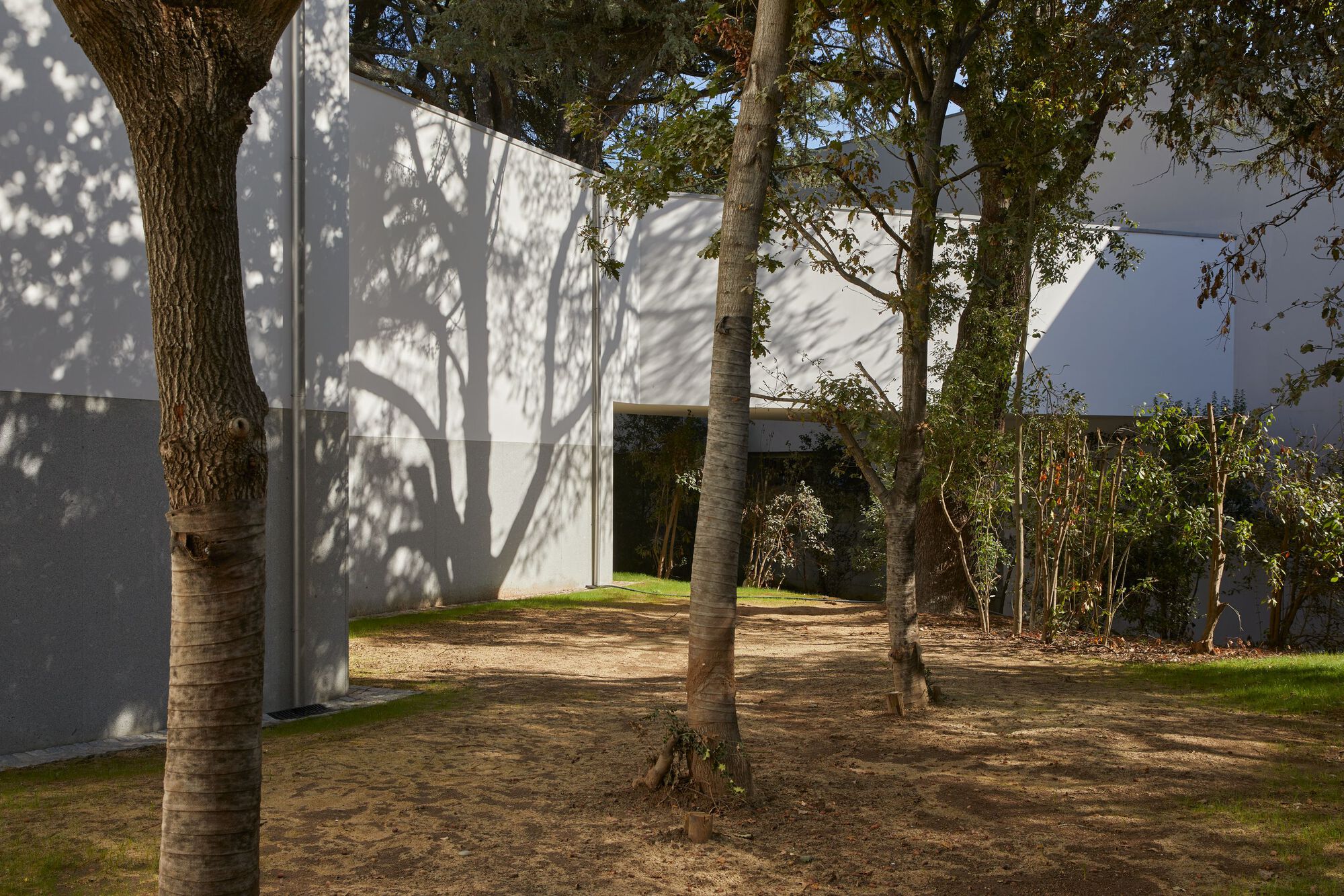 塞拉维斯博物馆阿尔瓦罗·西扎侧翼丨葡萄牙波尔图丨Álvaro Siza Vieira-46