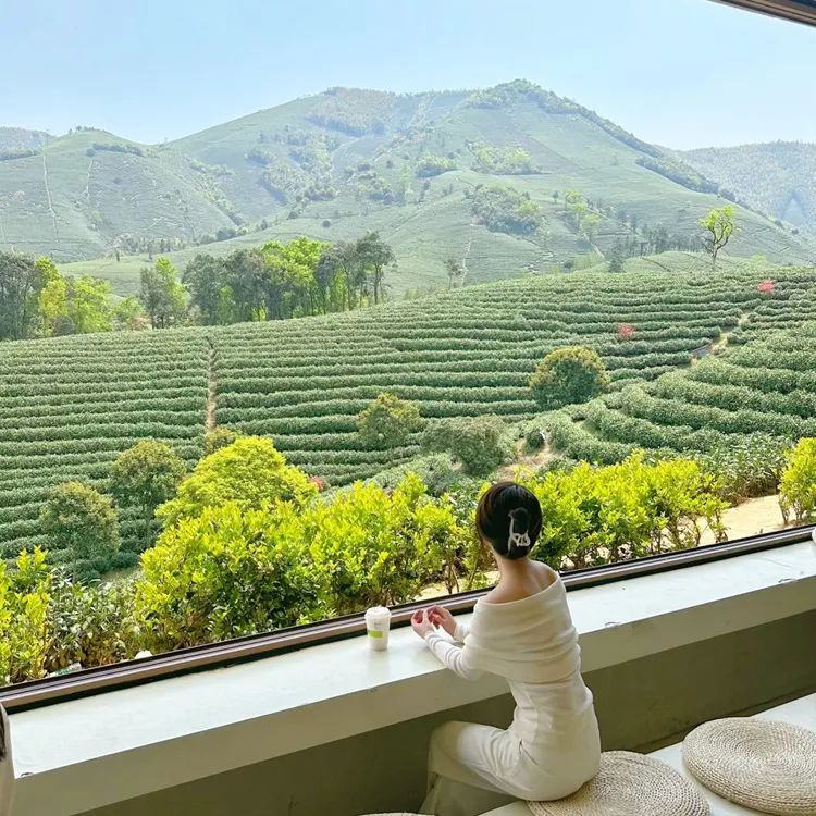 安吉观景平台及茶室丨中国浙江丨HATCH 汉齐建筑-40